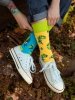 Chameleon and Flies - Socks Good Mood